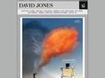 david jones hermes terre